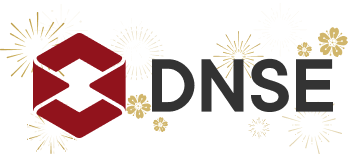 DNSE Logo